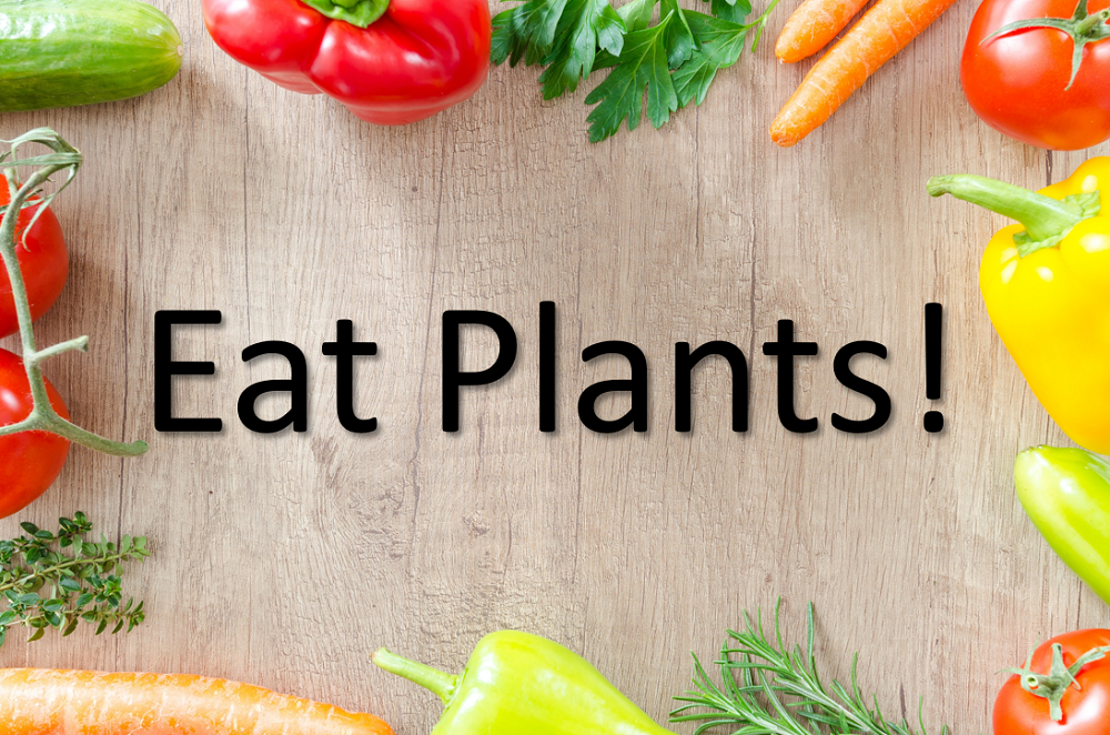 What Will A Plant-Based Diet Do For Me?