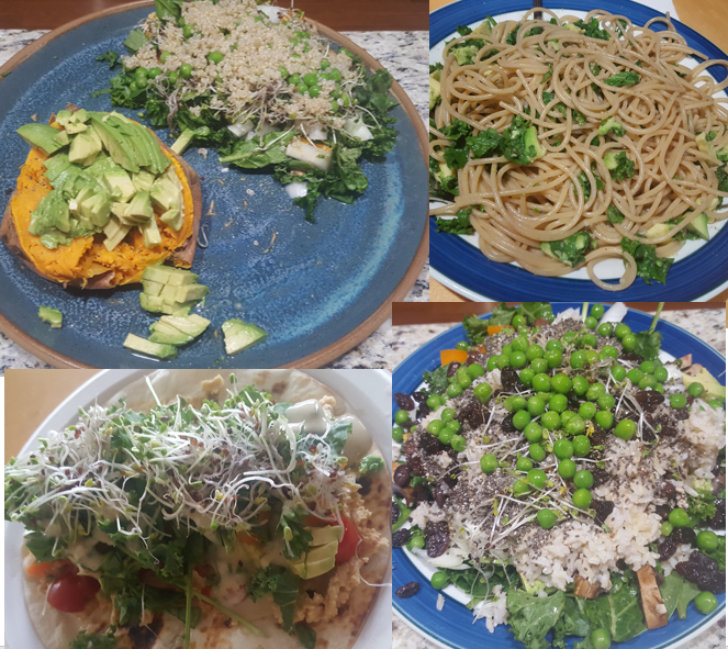 What We Eat When We Didn’t Plan Ahead