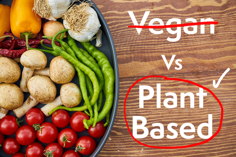 Vegan vs Plant-Based